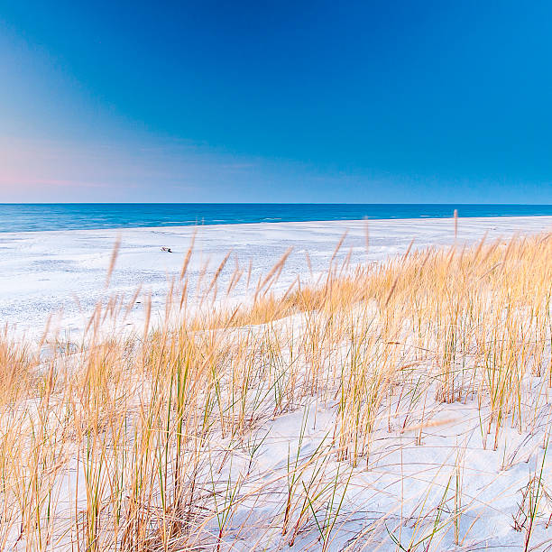 istock beautiful view of the coastal dunes 619246508