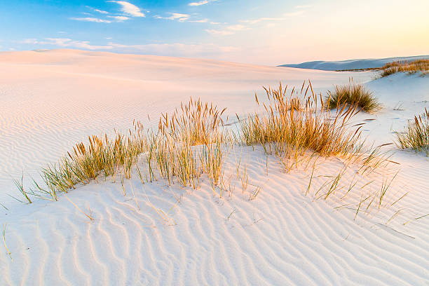istock beautiful view of the coastal dunes 619246760