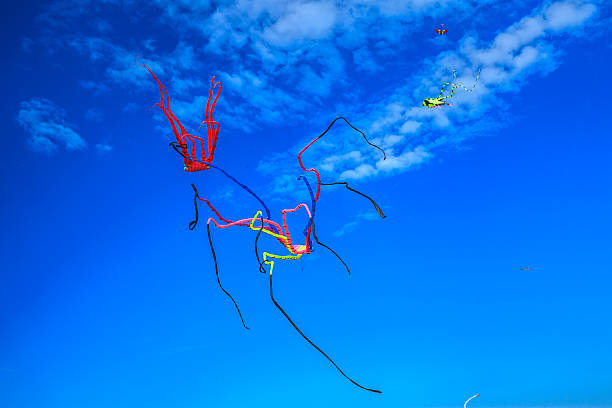 istock watching the kites in the sky 619248336