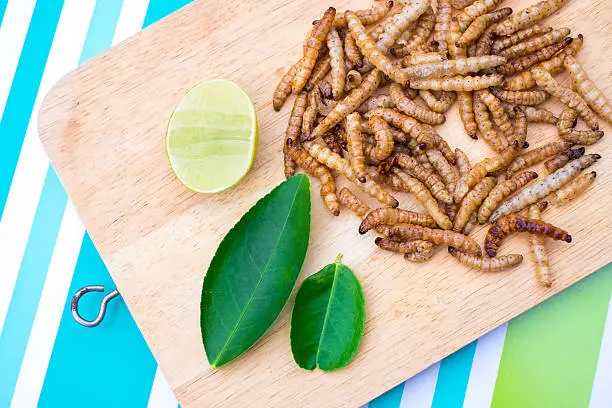 Photo of Fried bamboo Caterpillar