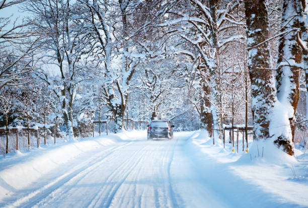 istock Alley in snowy morning 619249376