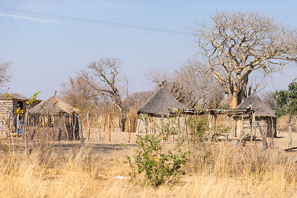 vita rurale in africa, terra boscaglia, namibia - hut africa grass hut mud hut foto e immagini stock