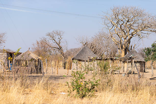 Rural life in Africa, bushman land, Namibia Mud straw and wooden hut with thatched roof in the bush. Local village in the rural Caprivi Strip, the most populated region in Namibia, Africa. thatched roof hut straw grass hut stock pictures, royalty-free photos & images