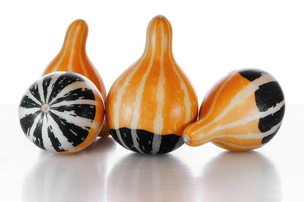 Close-up of small decorative pumpkins stock photo