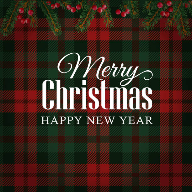 ilustrações de stock, clip art, desenhos animados e ícones de merry christmas greeting card, invitation. christmas tree branches, red berries. - plaid tartan scottish culture celtic culture