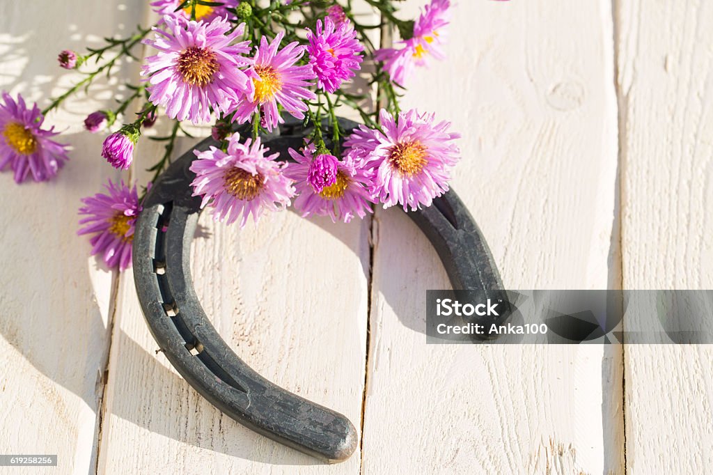 Herradura Con Flores Sobre Fondo De Madera Foto de stock y más banco de imágenes de Acero - Acero, Caballo - Familia del caballo, Casa - iStock Herradura Con Flores Sobre Fondo De Madera Foto de stock y más banco de imágenes de Acero - Acero, Caballo - Familia del caballo, Casa - iStock