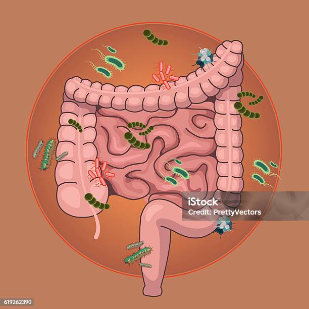 Vector Intestines With Germs And Bacteria Vector Flat Cartoon Illustration Stock Illustration - Download Image Now