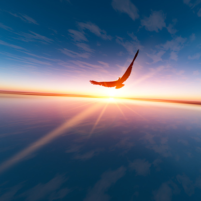 An Eagle against horizon sun, 3D rendering