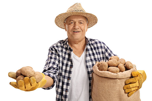 istock Elderly farmer holding potatoes and burlap sack 619264968