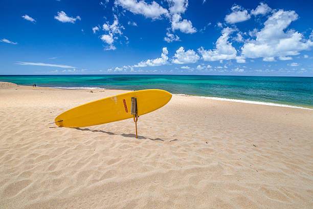 sunset beach north shore - north shore hawaii islands oahu island foto e immagini stock