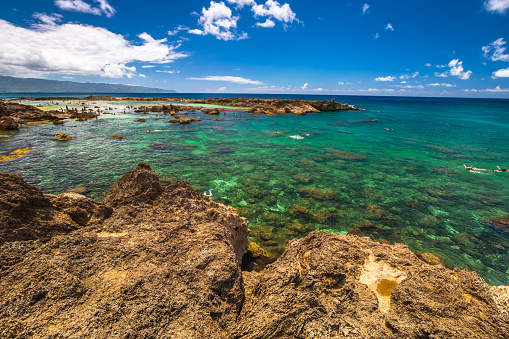 Shark's Cove, one of best scenic stops along the popular North Shore. Sharks Cove is the second best snorkeling site on Oahu, North Shore, and boasts an impressive amount of sea life.