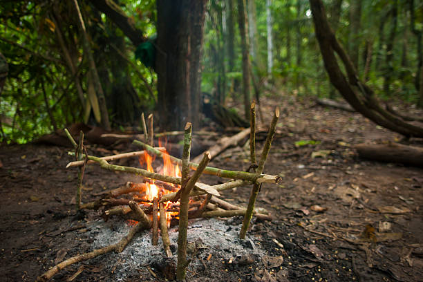 cooking in the Bolivian Amazon jungle, surviving cooking in the Bolivian Amazon jungle, surviving amazon forest stock pictures, royalty-free photos & images