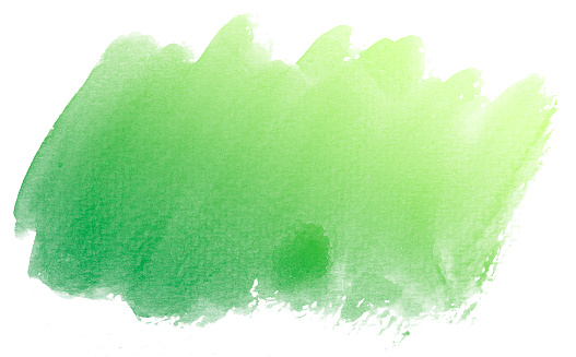Abstract green watercolor on white background.This is watercolor splash.It is drawn by hand.