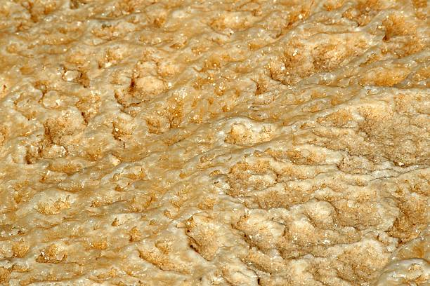 istock Salt-stone at the Dead Sea shore, Jordan 619272862