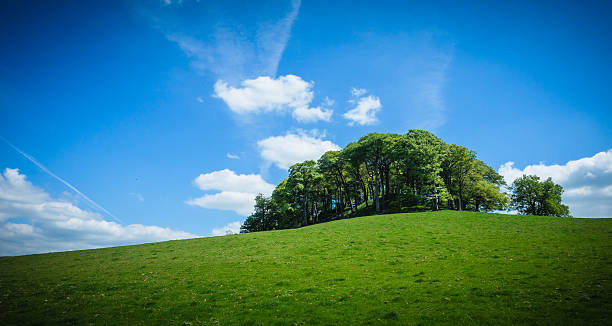 Agricultural field between Hørsholm and Birkerød in Denmark in the summer