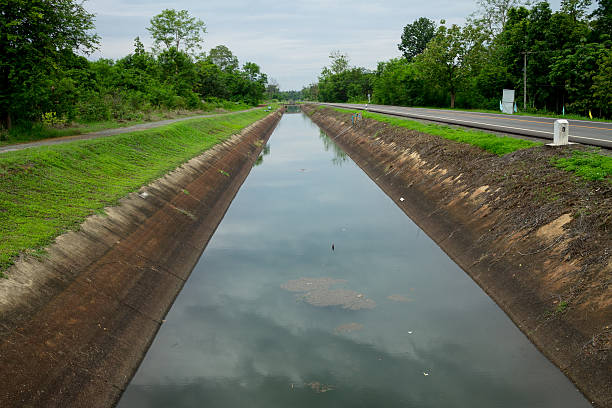 istock The country road 619273612