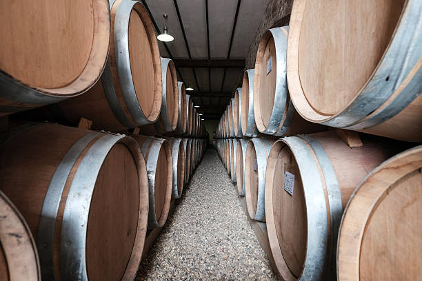istock Wine barrels stacked in old winery cellar 619274506
