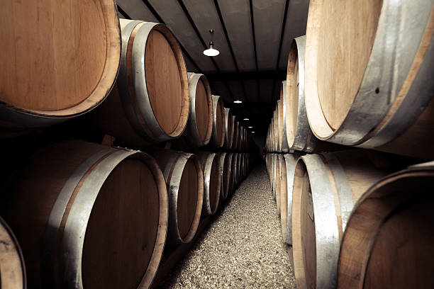 istock Wine barrels stacked in old winery cellar. Vintage retro effect 619274548