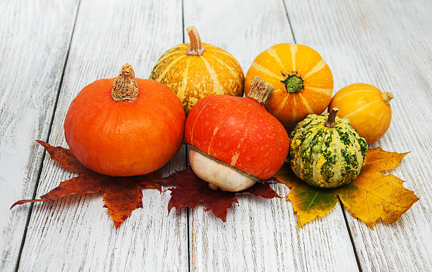 istock Pumpkins and leaves 619276262