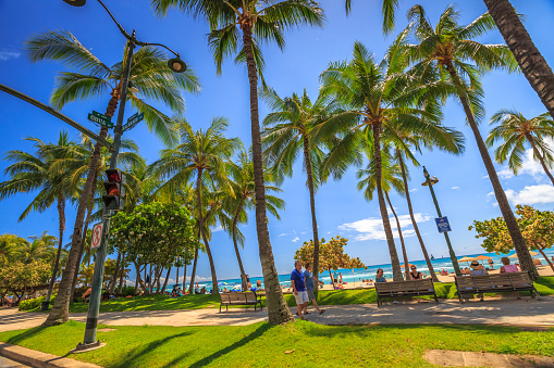 Waikiki ,Oahu, Hawaii, United States - August 27, 2016: Kalakaua Avenue with its palms and its promenade near Kuhio Beach Park, a section of Waikiki Beach, Honolulu.Kalakaua Avenue as the most popular street of Waikiki.