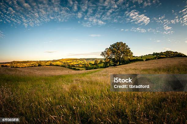 Photo libre de droit de Beau Paysage Vallonné Lors Dune Soirée Dété Dans Les Cotswolds banque d'images et plus d'images libres de droit de Cotswolds