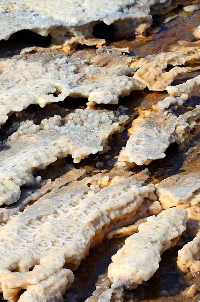 istock Salt layers at the Dead Sea shore, Jordan 619368398