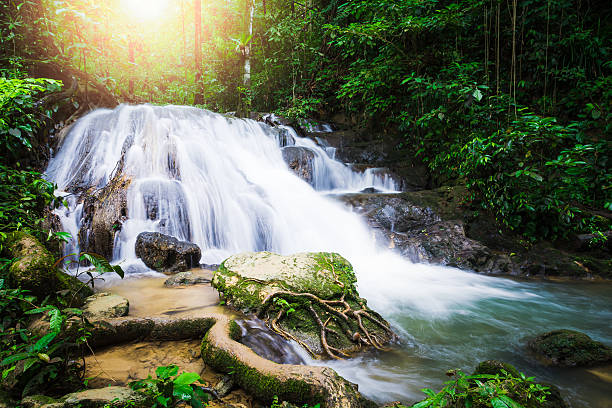 istock Sa Nang Manora cascade waterfall, Phang Nga, Thailand 619369320
