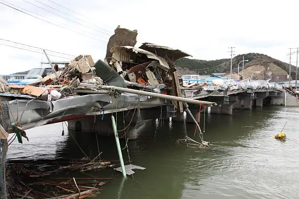 Tsunami damage of the East Japan great earthquake disaster
