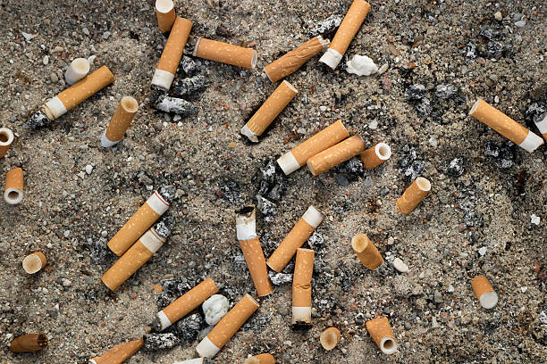 istock Lots of cigarette butts 619373216