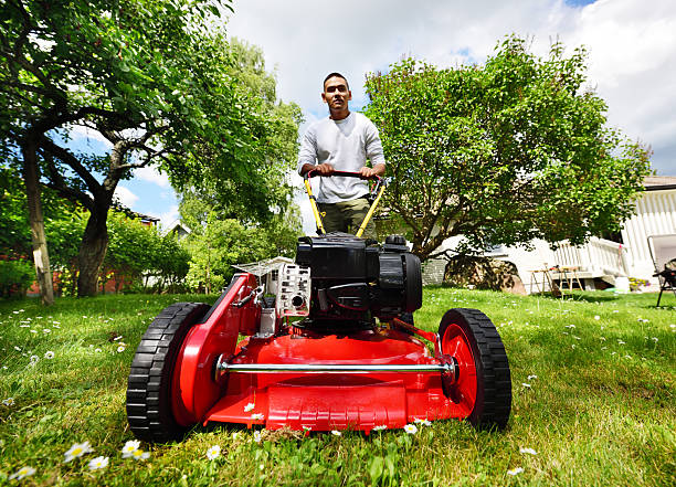 Mowing the lawn in nice green garden.