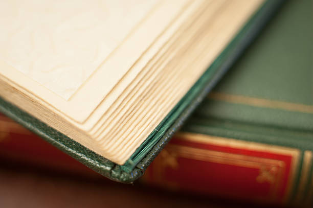 istock Antique book leather cover detail 619374302