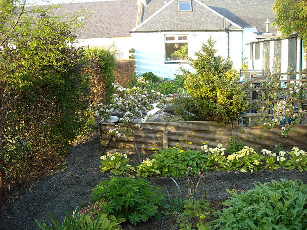 istock Sun on the garden in spring 619375748