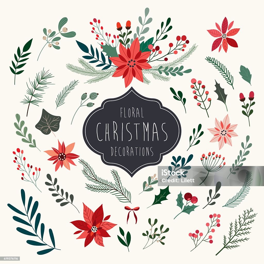 Christmas floral collection Christmas floral collection with winter decorative plants and flowers Poinsettia stock vector