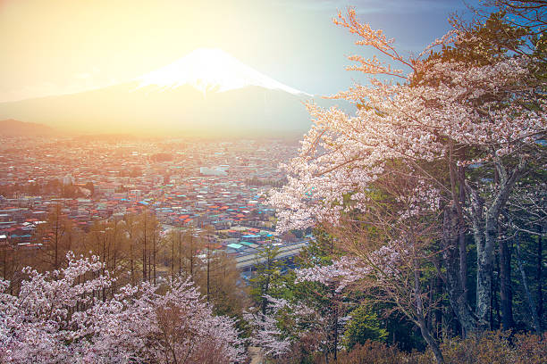 Mt Fuji on the background stock photo