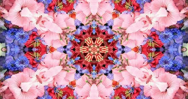 Photo of kaleidoscope flower