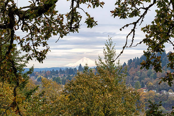 monte hood desde willamette falls overlook - west linn fotografías e imágenes de stock