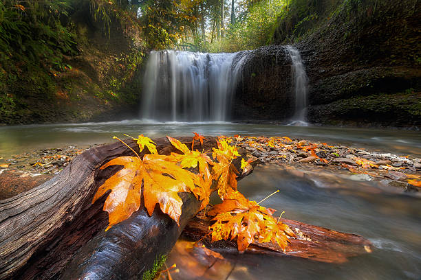 Autumn at Hidden Falls stock photo