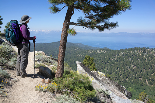 A female hiker surveys the view on the Tahoe Rim Trail, Nevada.