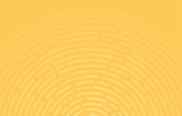 Abstract Circular Lines Abstract lines background with circular lines and space for your content. EPS 10 file. Transparency effects used on highlight elements. yellow sunburst background stock illustrations