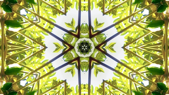It is a kaleidoscope with fruit and vegetables as a motif.