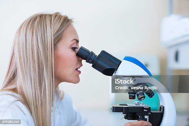 Scientist Working In Laboratory Stock Photo - Download Image Now - 2016, 30-39 Years, Adult
