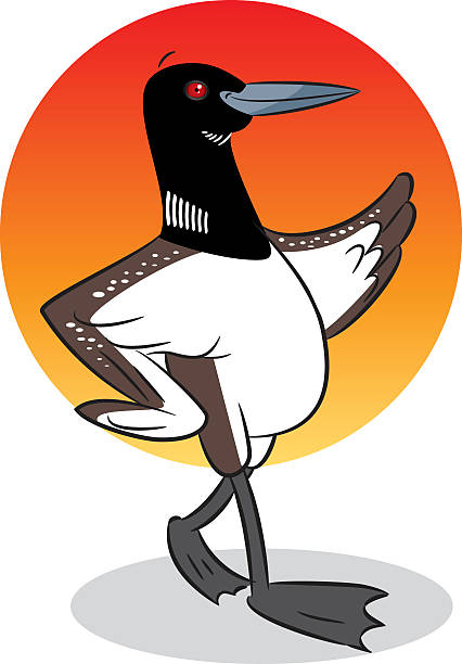 eistaucher  - common loon stock-grafiken, -clipart, -cartoons und -symbole