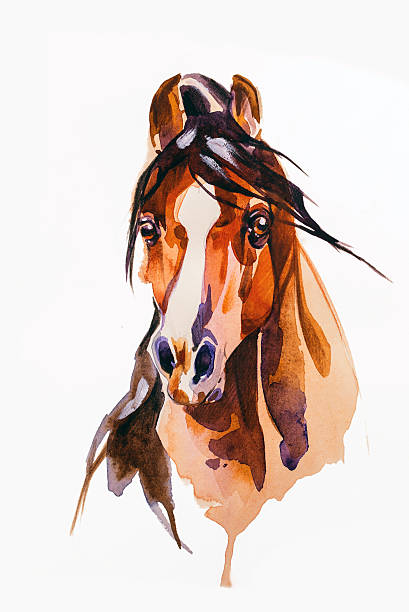 istock drawing head of the horse 619392480