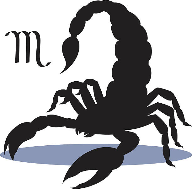 ilustrações de stock, clip art, desenhos animados e ícones de silhouette of insect scorpion, isolated on background, astrological icon scorpio. - escorpião aracnídeo