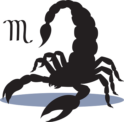 Silhouette of dangerous insect scorpion isolated on white background, detailed spider, astrological icon Scorpio. The symbol of the month of November on the calendar.