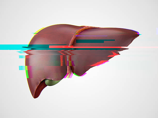 Realistic human liver glitch effect Realistic 3d illustration of anatomical model of healthy human liver with glitch effect, failure concept liver failure stock pictures, royalty-free photos & images