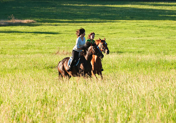 istock Two Women Horseback Riding in a Landscape 619393902