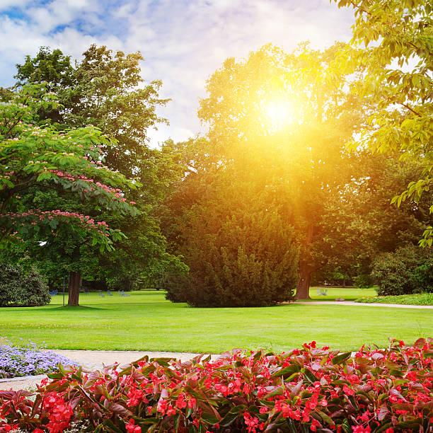 istock summer park with beautiful flowerbeds 619394334