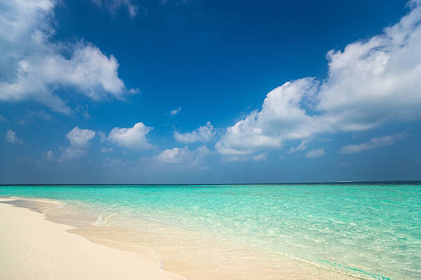 istock beautiful beach and tropical sea 619394562