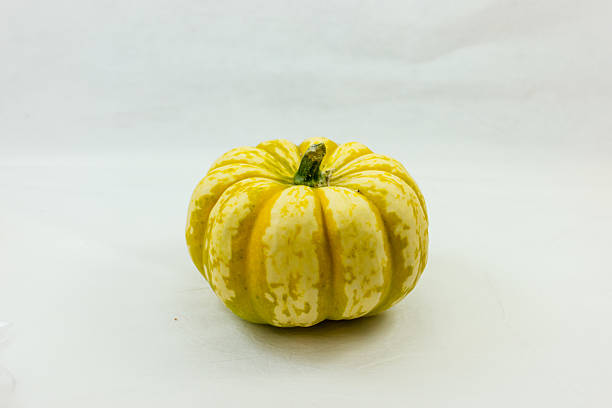 an october arangement